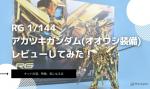 RG 1/144 アカツキガンダム(オオワシ装備)のレビューしてみたキットの内容や気になる点についてものイメージ