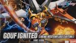 HG グフイグナイテッド（ハイネ・ヴェステンフルス専用機）［2005年発売］  レビューのイメージ