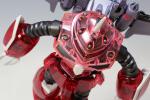 HG ズゴック （SEED FREEDOM Ver.） ［クリアカラー］のイメージ