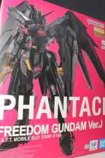 MG PHANTACI フリーダムガンダム Ver.Jのイメージ