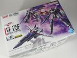 HG 1/100 VF-25F メサイアバルキリー(早乙女アルト機)(マクロスF)ランナー紹介のイメージ