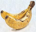 HG　ジムスパルタン　キレイめ仕上げ完成品のイメージ